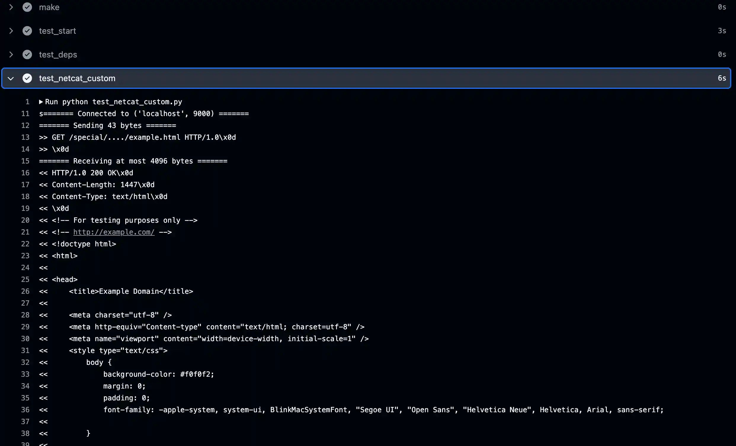 Screenshot of the CI/CD pipeline successfully testing the HTTP server